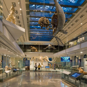 Natural History Museum of Los Angeles County