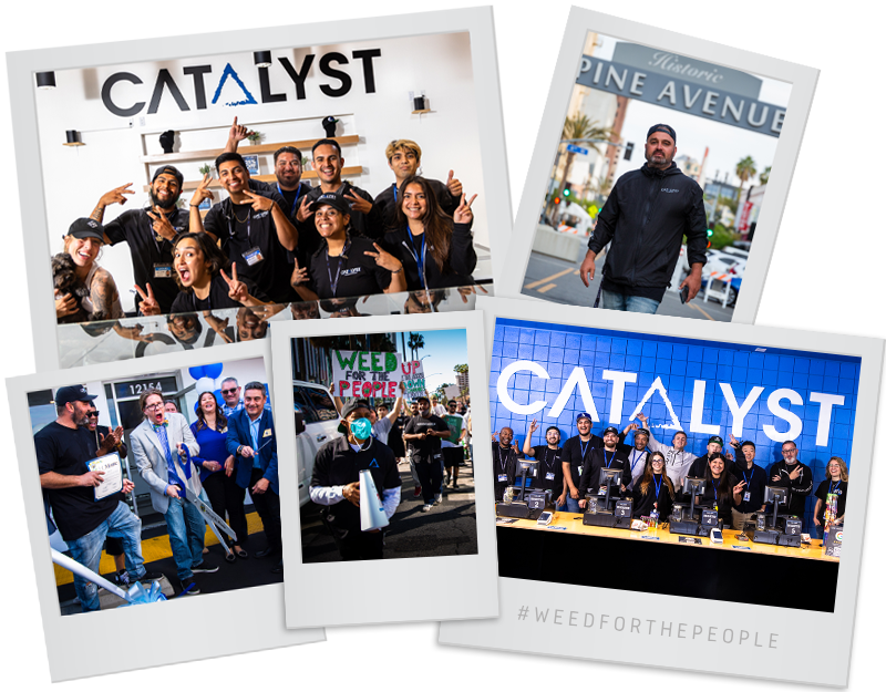 catalyst company collage big