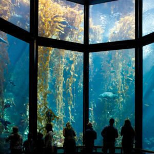 Monterey Bay Aquarium – Marina