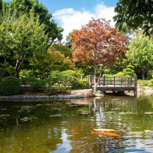 earl burns miller japanese garden earl warren drive long beach ca